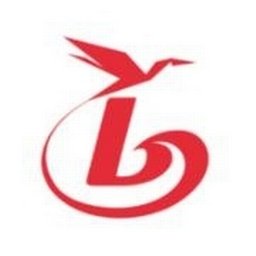 شعار الشركة BGroup