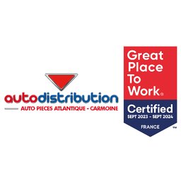 Logo de l'entreprise AUTO PIÈCES ATLANTIQUE