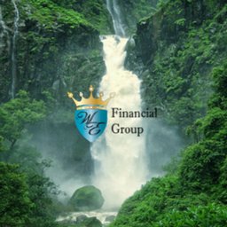 Company logo We Financial Group