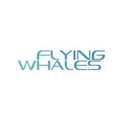 Logo de l'entreprise Flying Whales