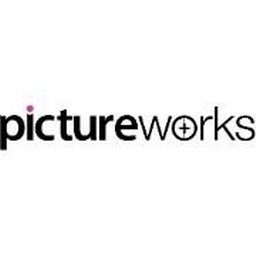 Company logo Pictureworks Pte Ltd