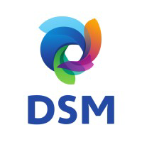 公司标志 DSM