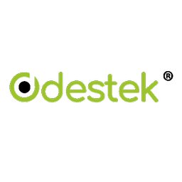 कंपनी का लोगो Destek Infosolutions pvt ltd