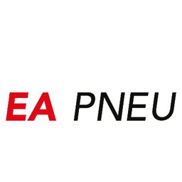 Logo de l'entreprise 100% Pneu