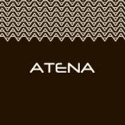 Company logo Atena SpA