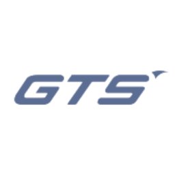 कंपनी का लोगो Globose Technology Solutions