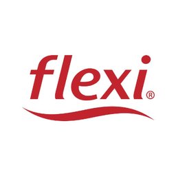 Logotipo de la empresa FLEXI