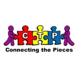 Company logo Connecting the Pieces, LLC