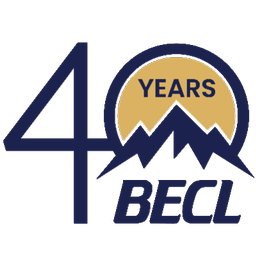 Company logo Bremner Engineering and Construction