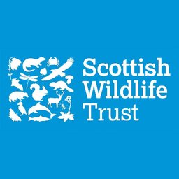 Company logo Scottish Wildlife Trust
