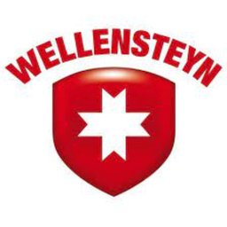 Firmenlogo Wellensteyn International