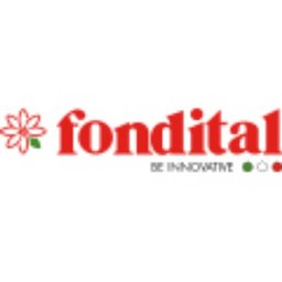 Company logo Fondital SpA