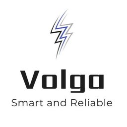 Volga Partners Logo