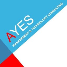 Firmenlogo AYES Consulting