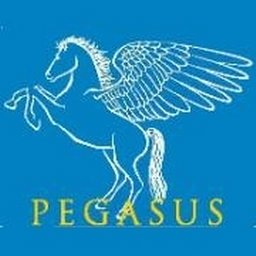 Pegasus Health Logo