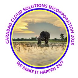 Company logo Carabao Cloud Solution, Inc.