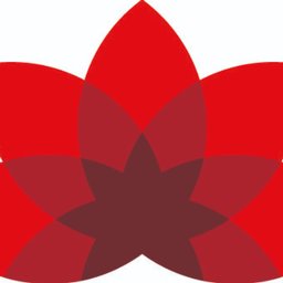Firmenlogo GRG. Die Gebäudereiniger