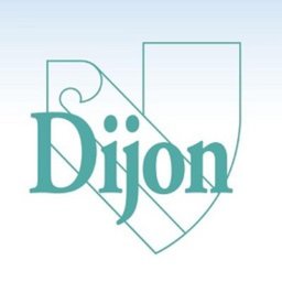 Logo de l'entreprise VILLE DE DIJON