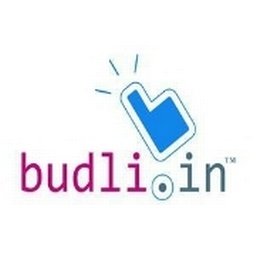 कंपनी का लोगो budli.in