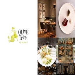 Company logo OLIVE TREE RESTAURANT