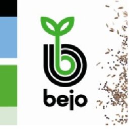 Company logo BEJO
