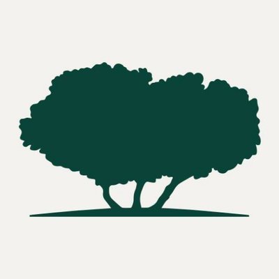 شعار الشركة Qatar Foundation