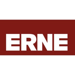 Firmenlogo Erne Gruppe
