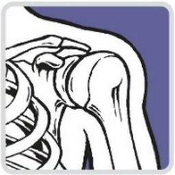 Company logo Columbia Orthopaedic Group