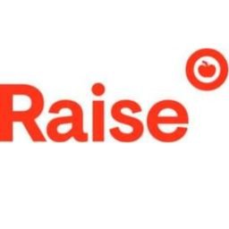 Firmenlogo RAISE Project