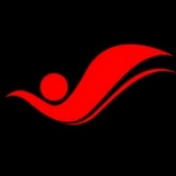 कंपनी का लोगो Virtue Insight