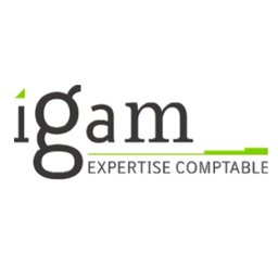 Logo de l'entreprise IGAM Expertise Comptable