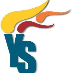 कंपनी का लोगो YS Group of Institutes