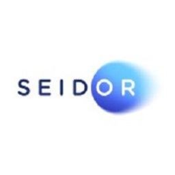Company logo SEIDOR