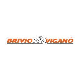Brivio & Viganò Logo