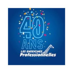 Company logo LES ENSEIGNES PROFESSIONNELLES