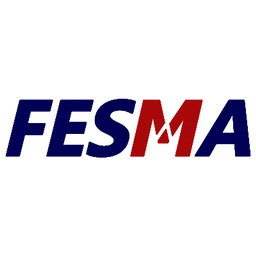 Company logo Fesma Consultancy