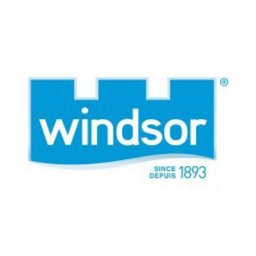 Company logo Windsor Salt