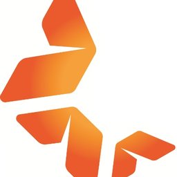 Logo de l'entreprise Newton Audit