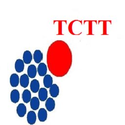 شعار الشركة Travellers Choice Travel & Tourism LLC
