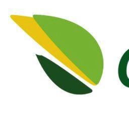Firmenlogo Pflegedienst Geßner GmbH