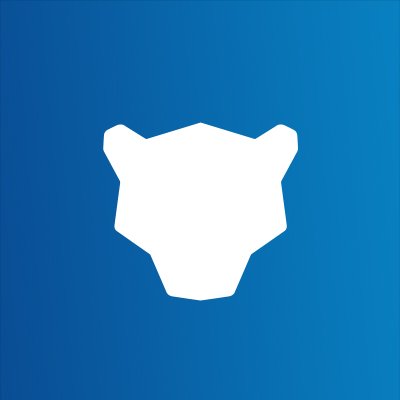 Panther Labs Logo