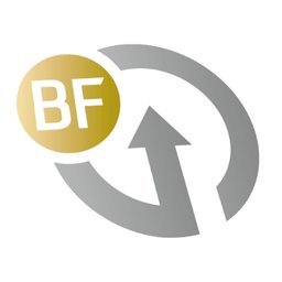 Company logo BF Global Group