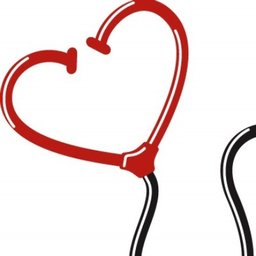 Company logo CardioVascular Associates of Mesa