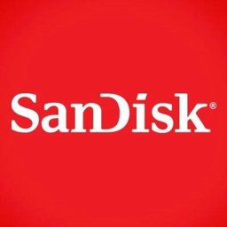 公司标志 SanDisk
