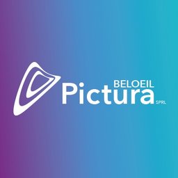 Company logo Pictura beloeil