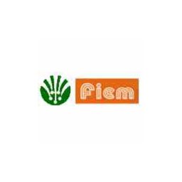 कंपनी का लोगो fiem industries ltd