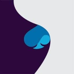 Company logo Capgemini