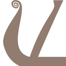 Company logo Viking Care