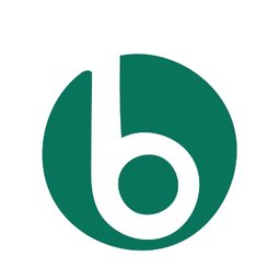 Logo de l'entreprise BSR Trust