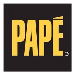 Company logo The Papé Group, Inc.